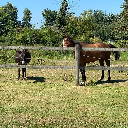 Le Pressoir Dom wakacyjny Maisons (Calvados)