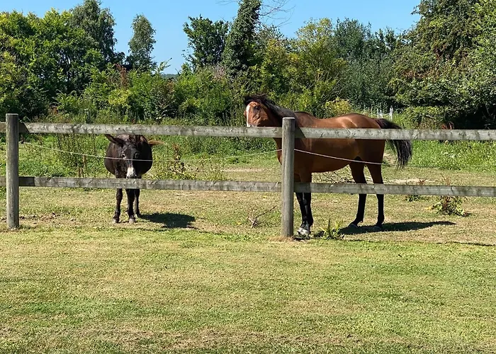 Le Pressoir Σπίτι διακοπών Maisons (Calvados)